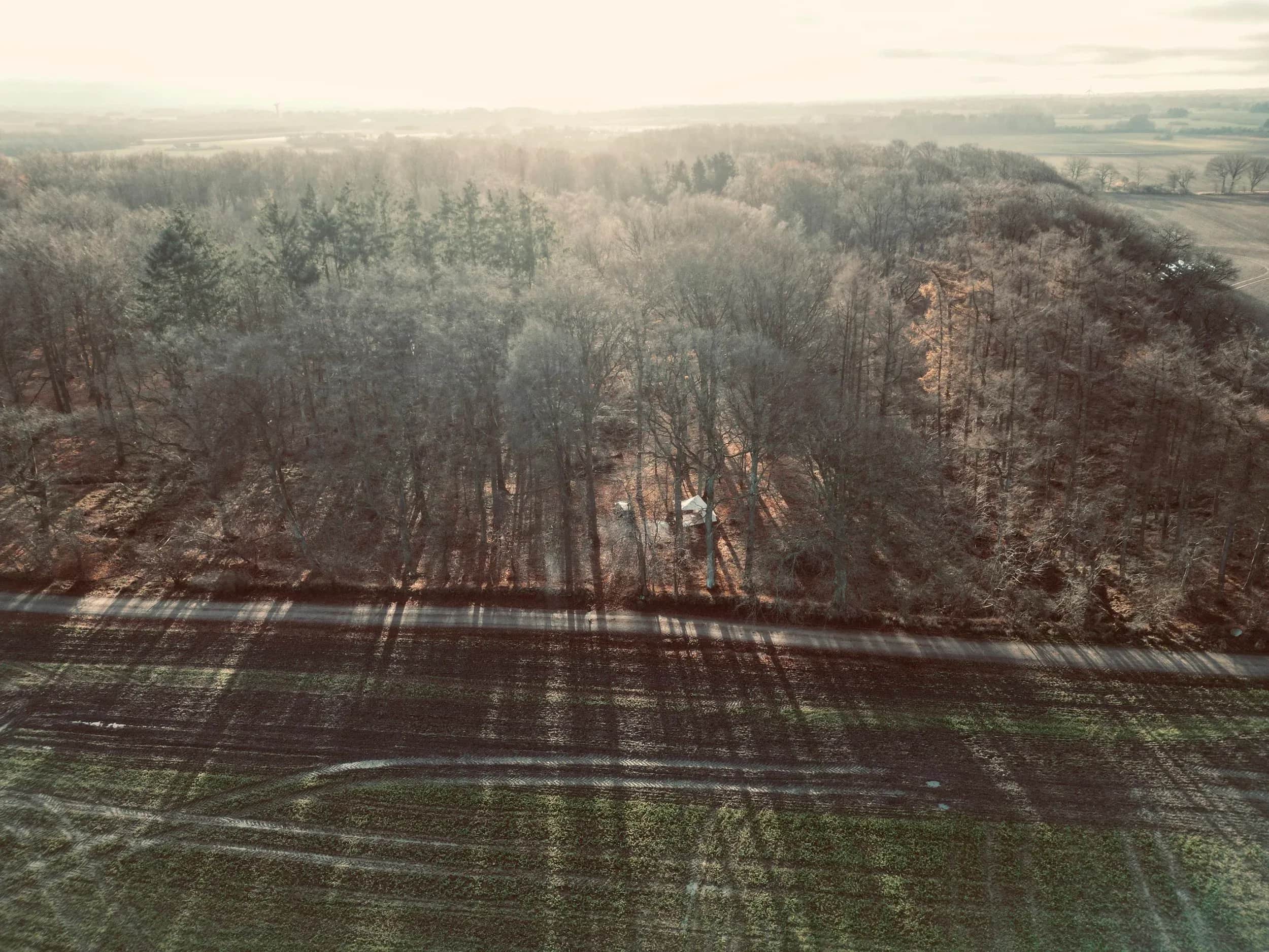 Luftfoto af en lysning i vinterskov ved en pløjet mark.