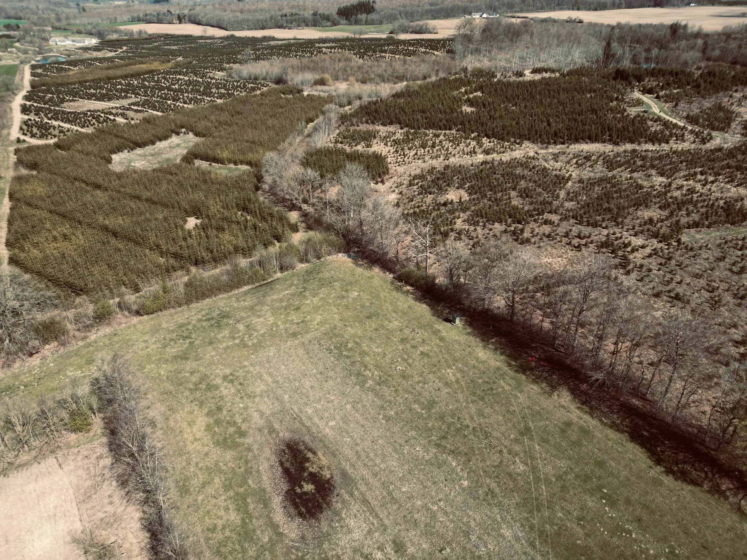 Luftfoto af hede, skovstriber og grønne marker.