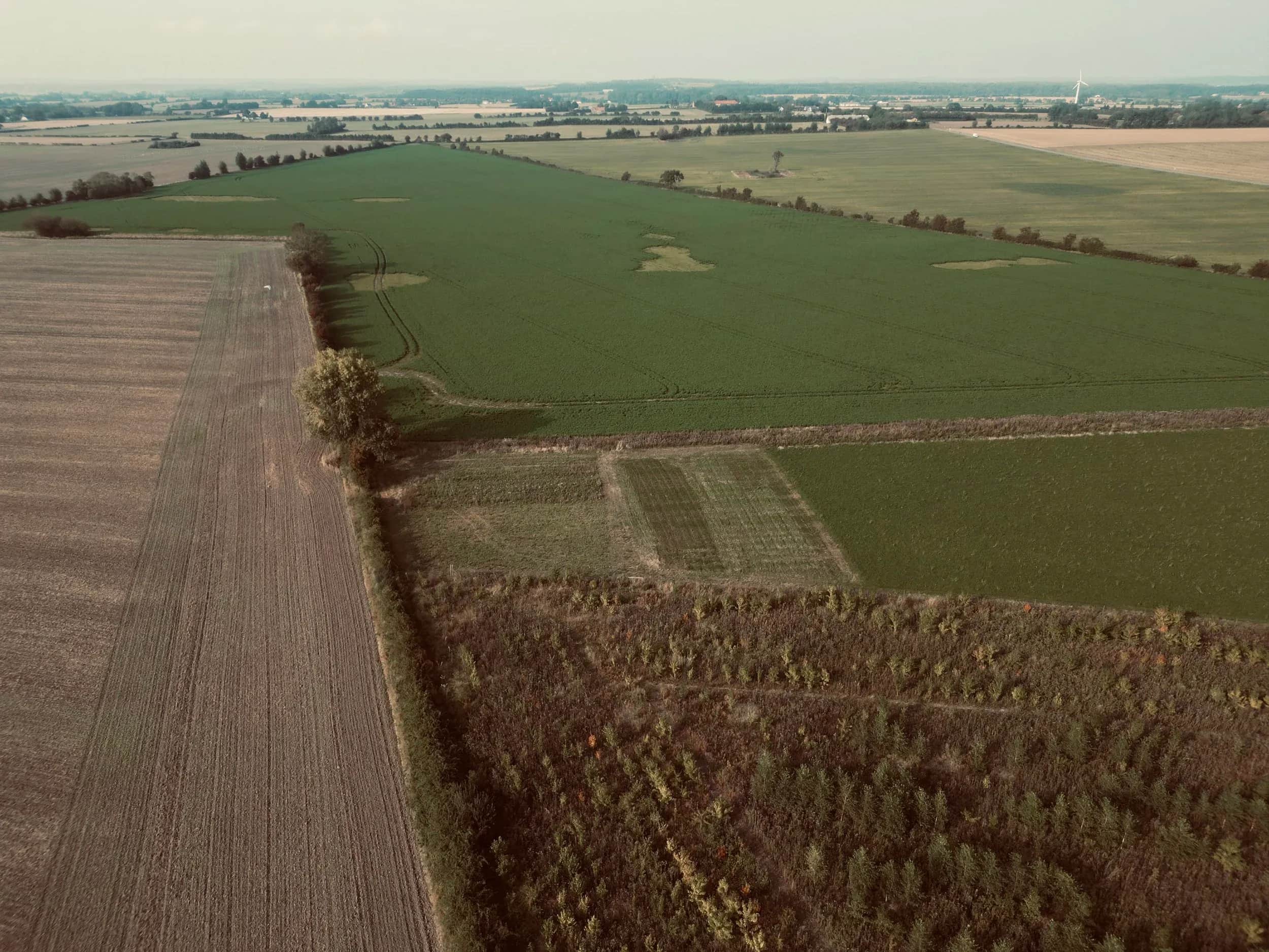 Luftfoto af grønne og pløjede marker med skov i forgrunden.