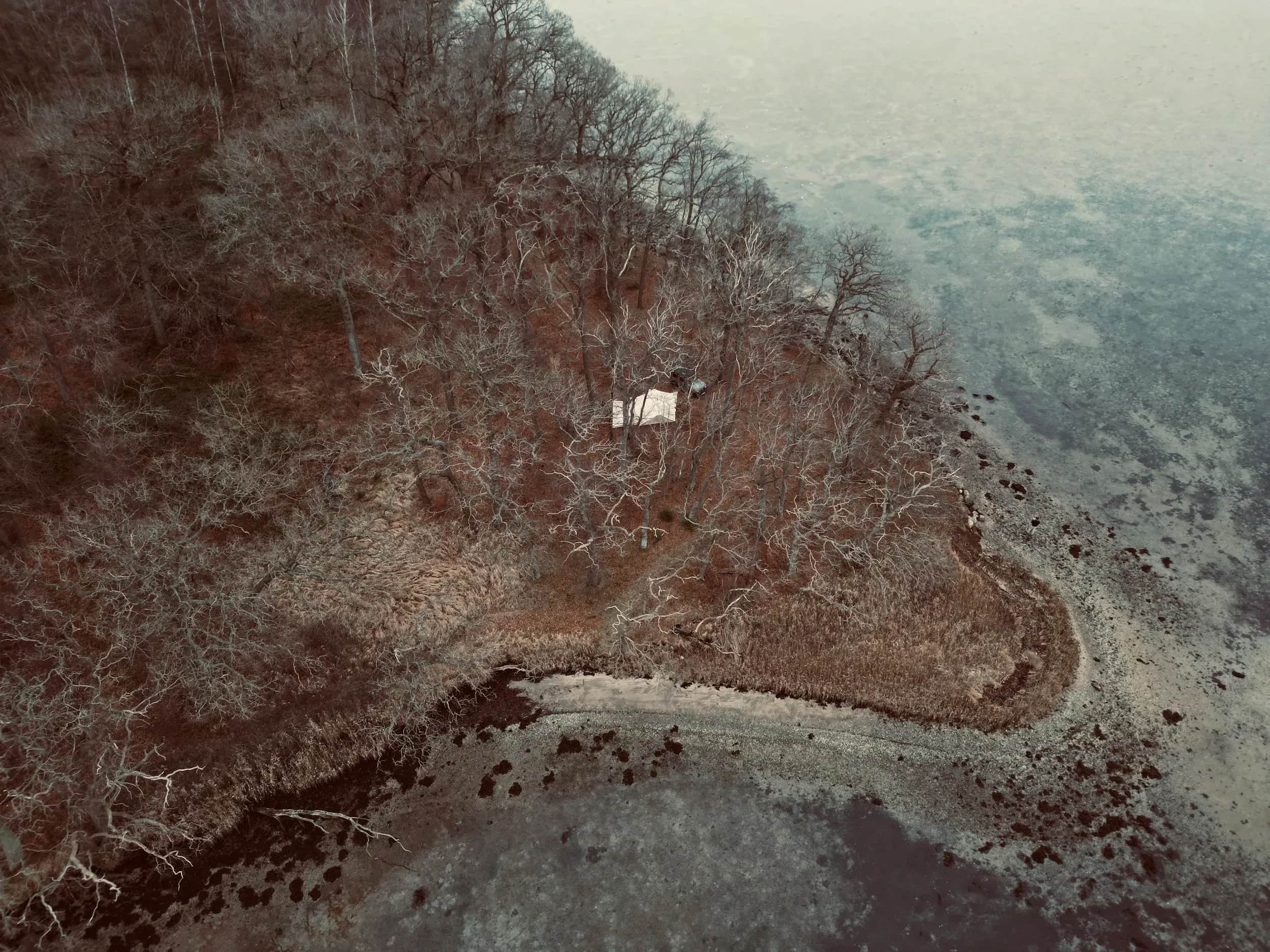 Luftfoto af nøgen skov ned mod en søbred.