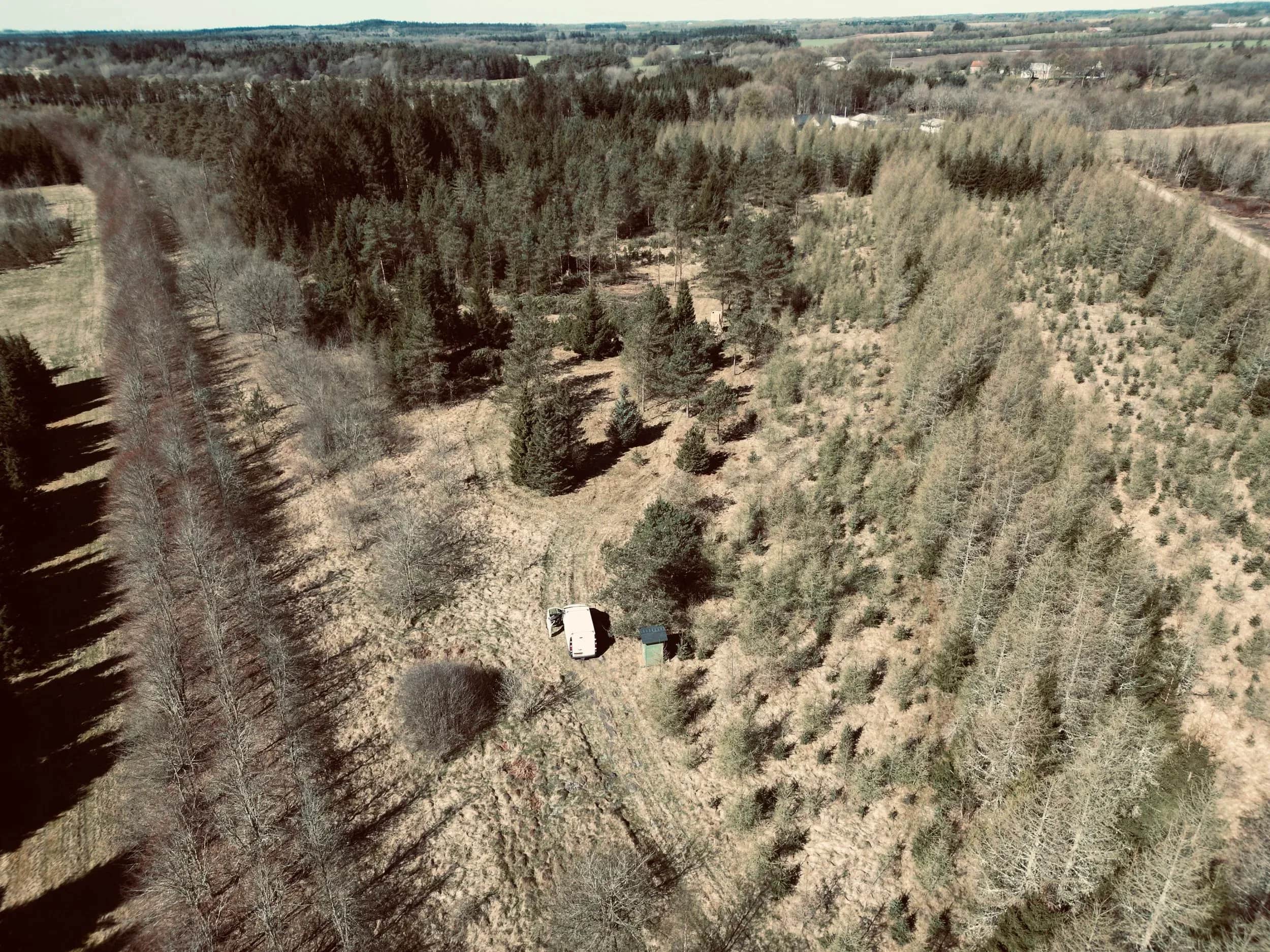 Luftfoto af et telt og en bil i en lysning i nåleskov.